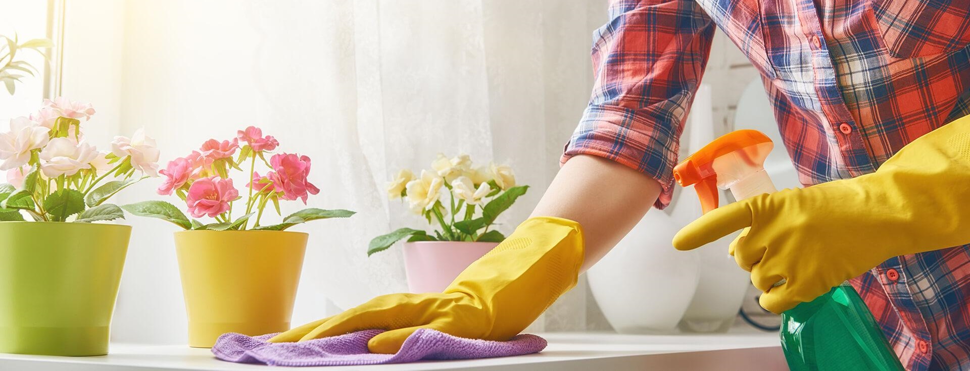 Malatya Dilek Temizlik